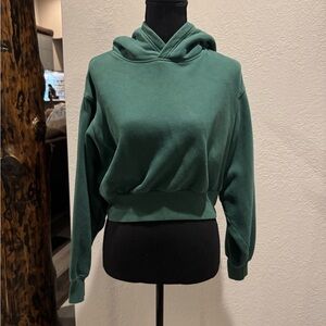 Aritzia TNA Sweatshirt